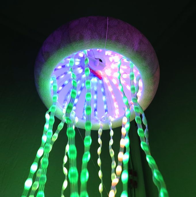 Charavane/meduse